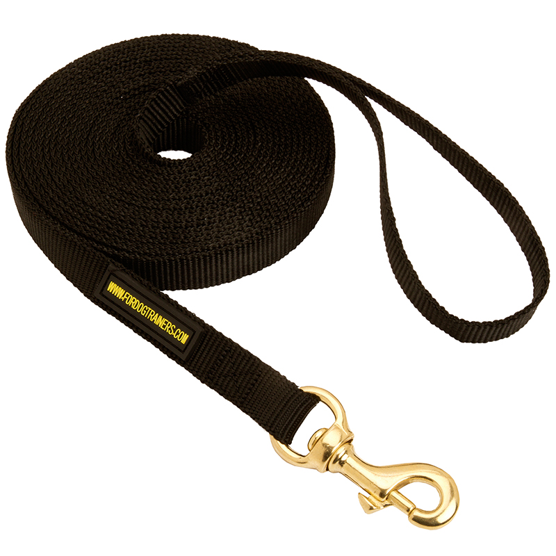 Professional 2024 dog leash