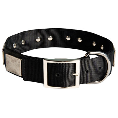 Two-ply Nylon Collar with stylish plates