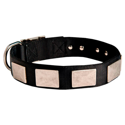 Multipurpose Dog Collar of extra strong Nylon