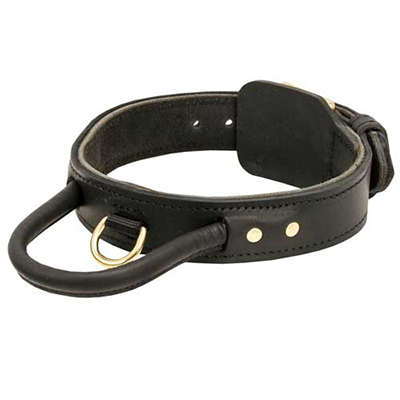 Agitation Dog Leather Collar