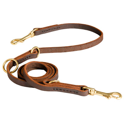 Leather leash with solid brass snap hook