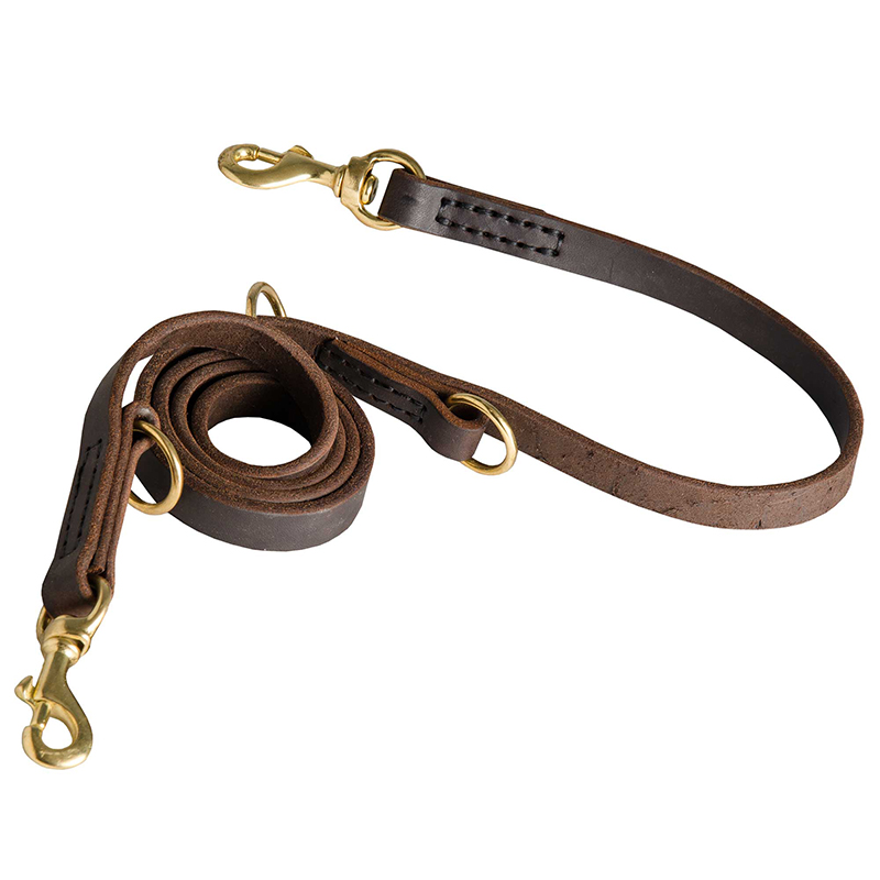 Premium Quality Bully Dog Collar with Two Snap Hooks [L120#1081 Leather ...